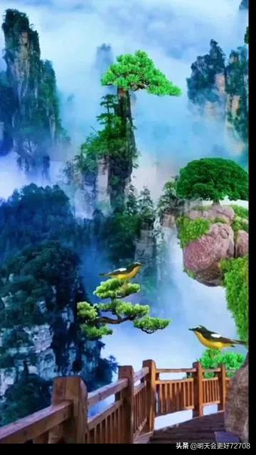 植物大战僵尸15