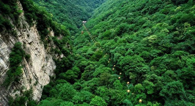 精彩问答平台-你在职场吃过哪些暗亏?,专注提供全面的问题解答